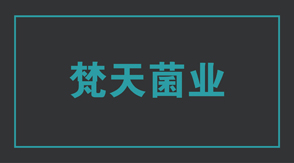 食品行业宜昌冲锋衣设计款式